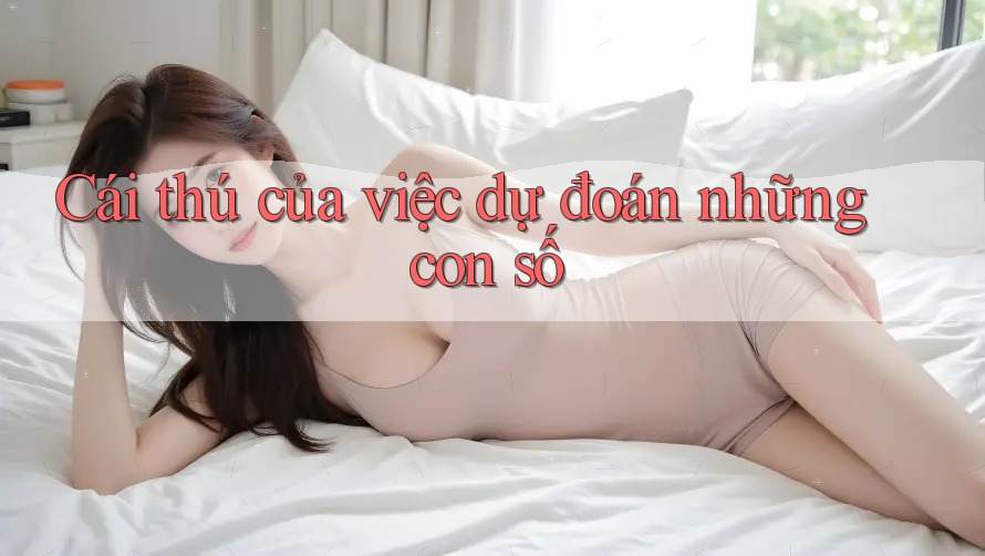 Cái thú của việc dự đoán những con số Cái thú của việc dự đoán những con số