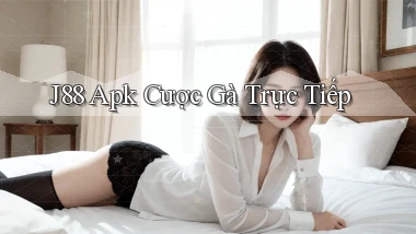 j88  apk cược gà trực tiếp