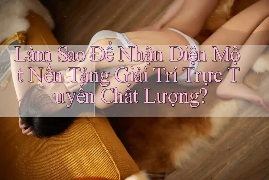 Làm Sao Để Nhận Diện Một Nền Tảng Giải Trí Trực Tuyến Chất Lượng? Làm Sao Để Nhận Diện Một Nền Tảng Giải Trí Trực Tuyến Chất Lượng?