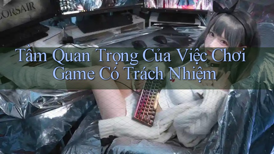 Tầm Quan Trọng Của Việc Chơi Game Có Trách Nhiệm Tầm Quan Trọng Của Việc Chơi Game Có Trách Nhiệm