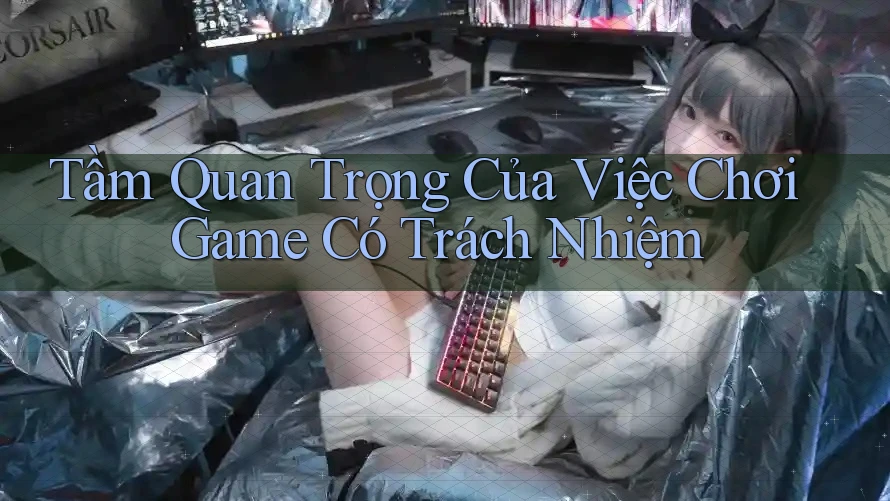 Tầm Quan Trọng Của Việc Chơi Game Có Trách Nhiệm