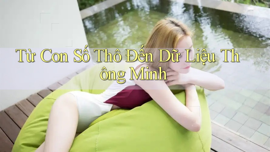 Từ Con Số Thô Đến Dữ Liệu Thông Minh Từ Con Số Thô Đến Dữ Liệu Thông Minh