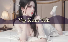 vip Kiếm tiền